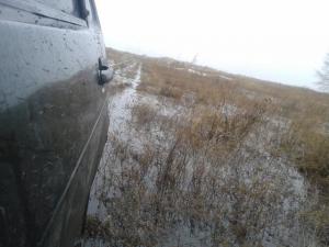 2016-04-03 10.02.50.jpg