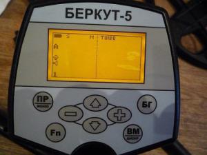 P1010397 - копия.JPG