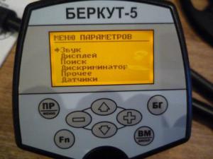 P1010399 - копия.JPG