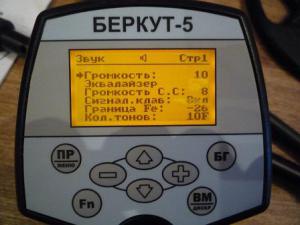 P1010400 - копия.JPG