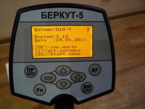 P1010413 - копия.JPG