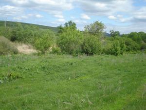 тут были дома.jpg