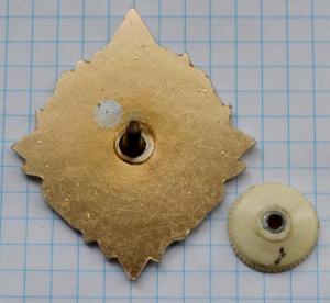 DSC_4878 (Custom).JPG