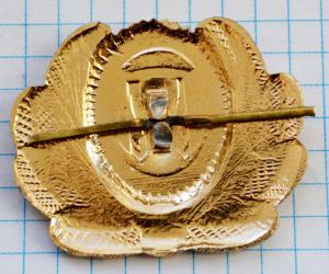 DSC_4816 (Custom).JPG