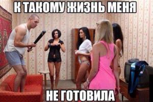 1411545675_memy-16.jpg