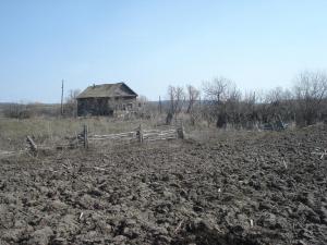 место копа.jpg