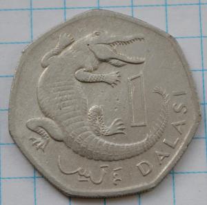 DSC_4989 (Custom).JPG