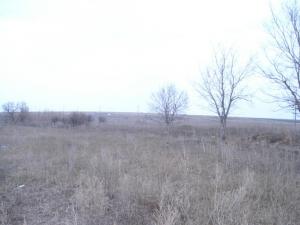 место копа.jpg