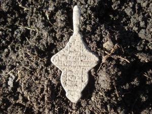 лепесток оборот.jpg