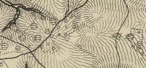 лесная дорога 2.jpg