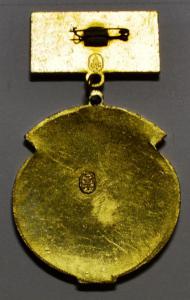 DSC_5381 (Custom).JPG