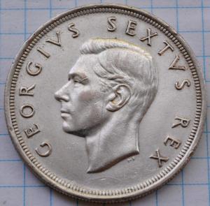 DSC_5561 (Custom).JPG