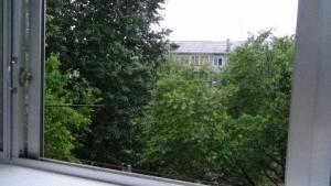 DSC00158 (Копировать).JPG