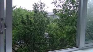 DSC00160 (Копировать).JPG