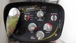 DSC00173 (Копировать).JPG