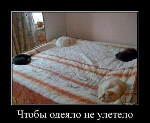 1467874881_demotivatory-7.jpg