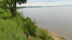 DSC00176 (Копировать).JPG