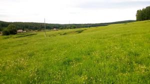 с Вовофона 070.jpg