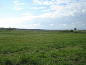 место копа.jpg