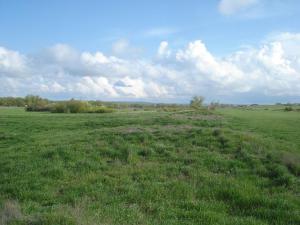 место копа2.jpg