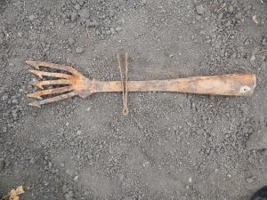 астрога 002.JPG