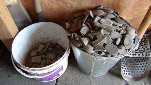 DSC00080 (Копировать).JPG