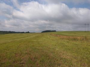 IMG_20160717_091116 - копия.jpg