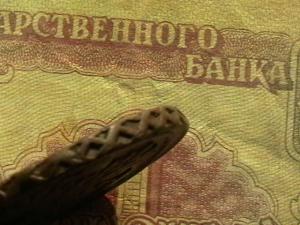 2007-07-05 02-24-00 (2).JPG