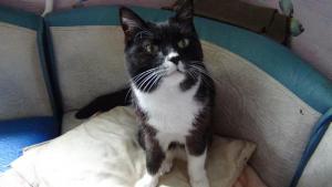 DSC00189 (Копировать).JPG