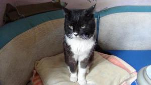 DSC00196 (Копировать).JPG