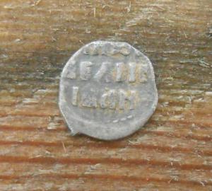 чешуйка реверс.png