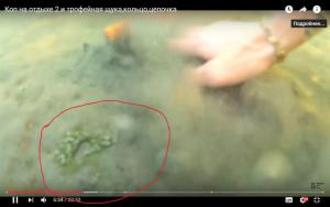 Новый точечный рисунок.jpg