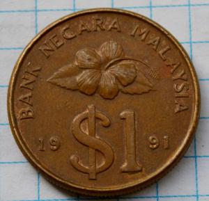 DSC_6488 (Custom).JPG