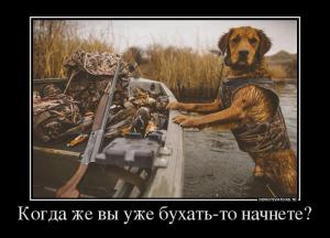 26931652_kogda-zhe-vyi-uzhe-buhat-to-nachnete.jpg