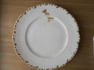 KATE - WIN_20160902_085731.JPG