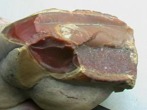 2007-08-06 17-07-00 (2).JPG