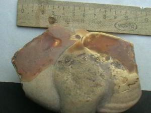 2007-08-06 17-08-00 (2).JPG