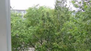 DSC00307 (Копировать).JPG