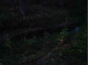 Яма на речке.jpg