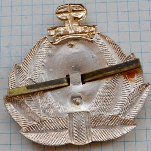 DSC_7369 (Custom).JPG