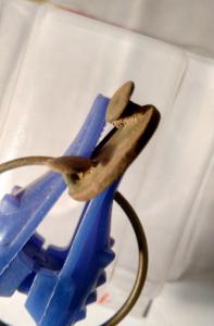 2016-10-15 20-49-46.JPG