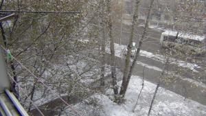 DSC00374 (Копировать).JPG