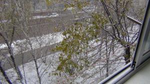 DSC00375 (Копировать).JPG