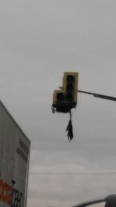 2016-09-29 08-18-49.JPG