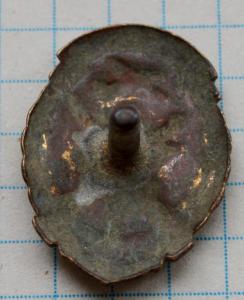 DSC_7537 (Custom).JPG