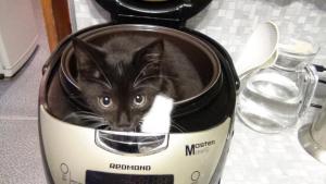 DSC00395 (Копировать).JPG