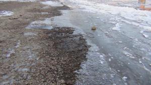 DSC00519 (Копировать).JPG