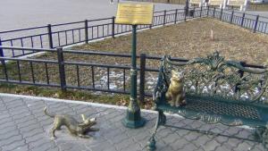 DSC00481 (Копировать).JPG