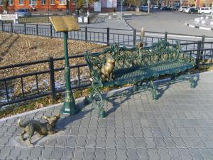 S5005518 (Копировать).JPG