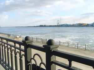 S5005528 (Копировать).JPG